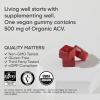 imageOrganic Apple Cider Vinegar Gummies with The Mother  USDA Organic Vegan Certified ampamp NonGMO Verified 60 Vegan GummiesACV Gummies