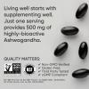 imageSports Research Ashwagandha Softgels with Coconut MCT Oil  Natural Adaptogen Made with Shoden Ashwa for Relaxation Calm ampamp Sleep Support  Gluten Free ampamp Vegan Friendly  60 Count120 Count Pack of 1