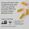 imageSports Research Berberine  Herbal Ayurvedic Metabolic Health Support  500 mg  60 Capsules  Vegan Certified GlutenFree NonGMO120 Count Pack of 1