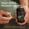 imageSports Research Berberine  Herbal Ayurvedic Metabolic Health Support  500 mg  60 Capsules  Vegan Certified GlutenFree NonGMO60 Count Pack of 1