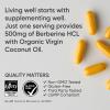 imageSports Research Berberine  Herbal Ayurvedic Metabolic Health Support  500 mg  60 Capsules  Vegan Certified GlutenFree NonGMO90 Count Pack of 1