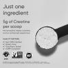 imageSports Research Creatine Monohydrate  Gain Lean Muscle Improve Performance and Strength and Support Workout Recovery  5 g Micronized Creatine  1058 oz11 Pound Pack of 1