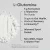 imageSports Research LGlutamine  Workout Recovery Immune Health ampamp Gut Health Support  5 G Per Serving  1058 Oz11 Pound Pack of 1
