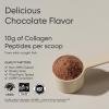 imageSports Research Marine Collagen Peptides  Beauty Collagen Supplement for Women ampamp Men  Post Workout Recovery Protein Powder with Vital Amino Acids for Hair Skin ampamp Joint Support Dark ChocolateDark Chocolate