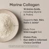 imageSports Research Marine Collagen Peptides  Beauty Collagen Supplement for Women ampamp Men  Post Workout Recovery Protein Powder with Vital Amino Acids for Hair Skin ampamp Joint Support Dark ChocolateUnflavored
