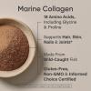 imageSports Research Marine Collagen Peptides  Beauty Collagen Supplement for Women ampamp Men  Post Workout Recovery Protein Powder with Vital Amino Acids for Hair Skin ampamp Joint Support Dark ChocolateDark Chocolate