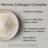 imageSports Research Marine Collagen Peptides  Beauty Collagen Supplement for Women ampamp Men  Post Workout Recovery Protein Powder with Vital Amino Acids for Hair Skin ampamp Joint Support Dark ChocolateUnflavored