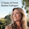 imageSports Research Multi Collagen Pills Type I II III V X Hydrolyzed Collagen Peptides with Hyaluronic Acid  Vitamin C  NonGMO Verified ampamp Gluten Free  90 CapsulesCapsule