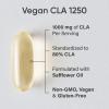 imageSports Research Vegan CLA  1250mg with Active Conjugated Linoleic Acid for Men ampamp Women  NonGMO Soy ampamp Gluten Free  80 90 Softgels90 Count Pack of 1