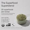 imageSports Research Organic Pineapple Coconut Greens  Digestive Health Natural Energy ampamp Mood Support  Certified Organic Powder  20 ServingsOriginal