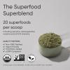 imageSports Research Organic Pineapple Coconut Greens  Digestive Health Natural Energy ampamp Mood Support  Certified Organic Powder  20 ServingsPineapple Coconut