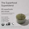 imageSports Research Organic Pineapple Coconut Greens  Digestive Health Natural Energy ampamp Mood Support  Certified Organic Powder  20 ServingsPineapple Coconut