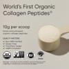 imageSports Research Organic Collagen Powder  Hydrolyzed Type I amp III Collagen Protein  USDA Organic Gluten Free Sustainably Sourced  Dark Chocolate  30 ServingsUnflavored