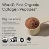 imageSports Research Organic Collagen Powder  Hydrolyzed Type I amp III Collagen Protein  USDA Organic Gluten Free Sustainably Sourced  Dark Chocolate  30 ServingsDark Chocolate